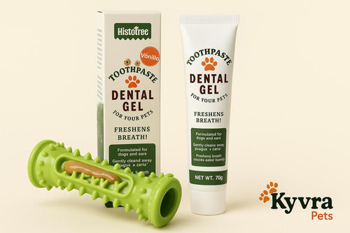 Kyvra Enzymatic Dog Toothpaste — Fresh Breath & Plaque Control